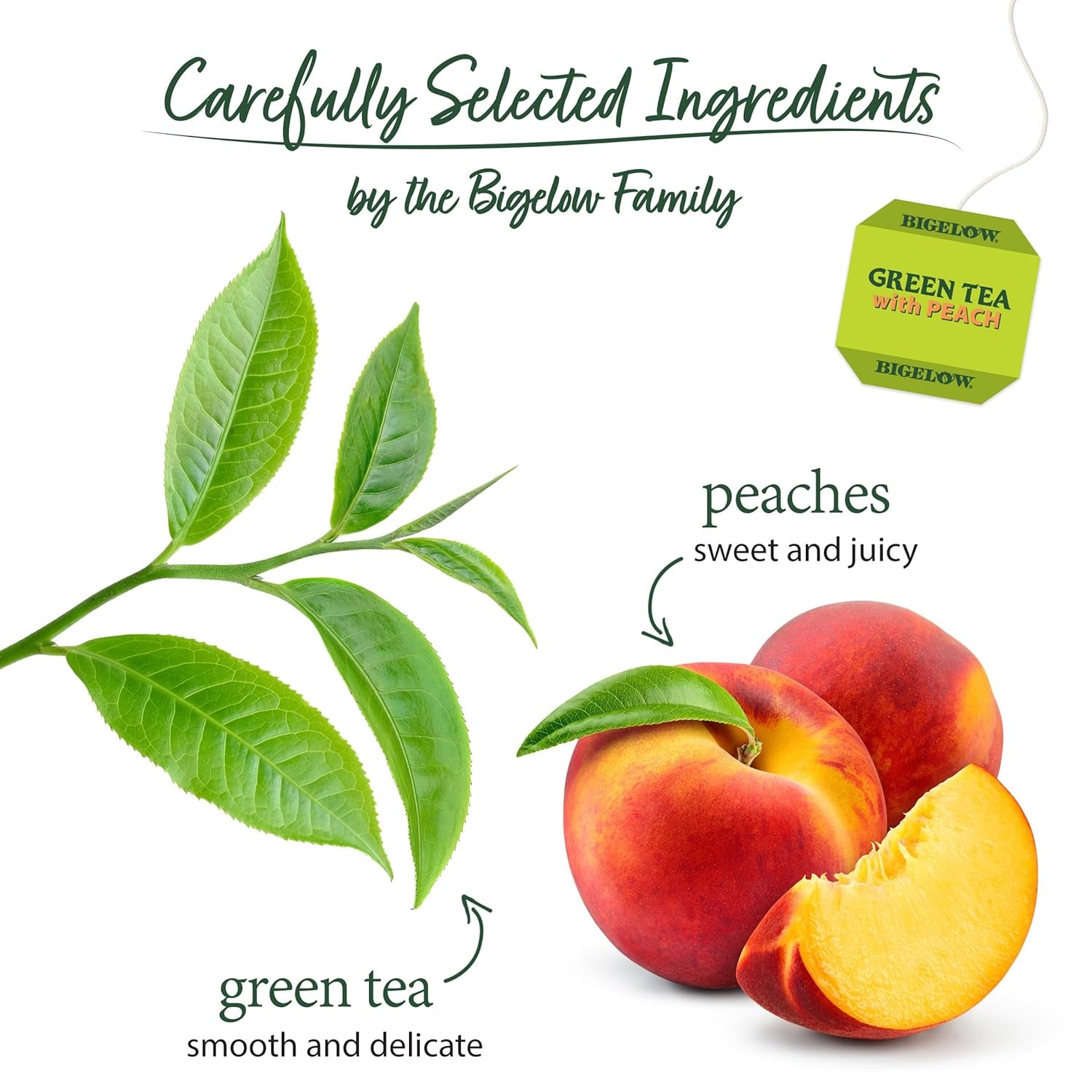 Refreshing Green Tea with Peach - Caffeinated Blend, 20 Count Box (Pack of 6) - 120 Total Tea Bags for a Flavorful Boost!