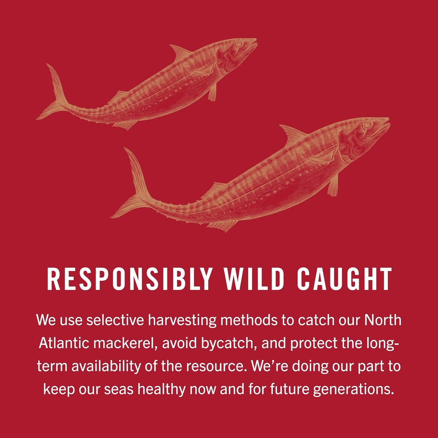 Wild Caught Skinless & Boneless Mackerel in Olive Oil - 4.05 oz Can (Pack of 6) - Delicious and Convenient Seafood Delight!